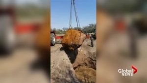 Massive Massive,30-tonne,meteorite,pulled,from,the,ground,in,Argentina