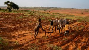 S. Madagascar on the verge of climate change-induced famine: How to help